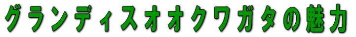 グランディスオオクワガタの魅力