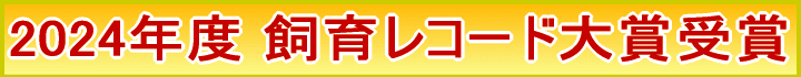 2024Nx r[N烌R[h܎