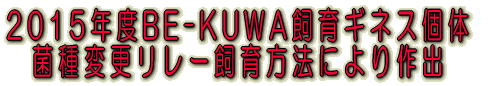 BE-KUWA2015NxMlX̍o ێύX[
