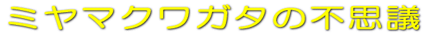 ミヤマクワガタの不思議
